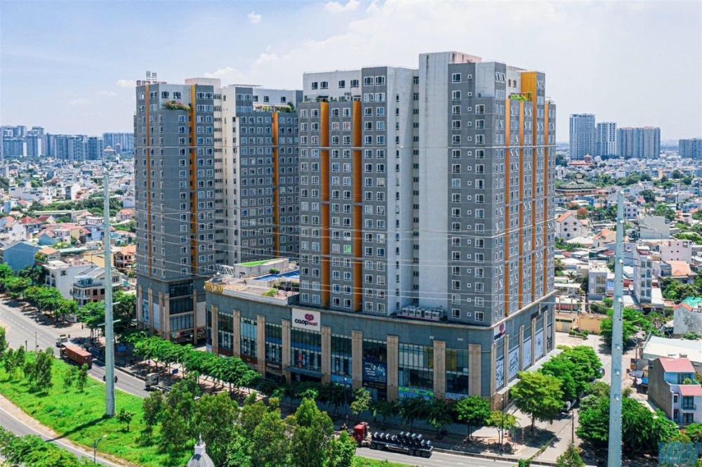  The CBD Building