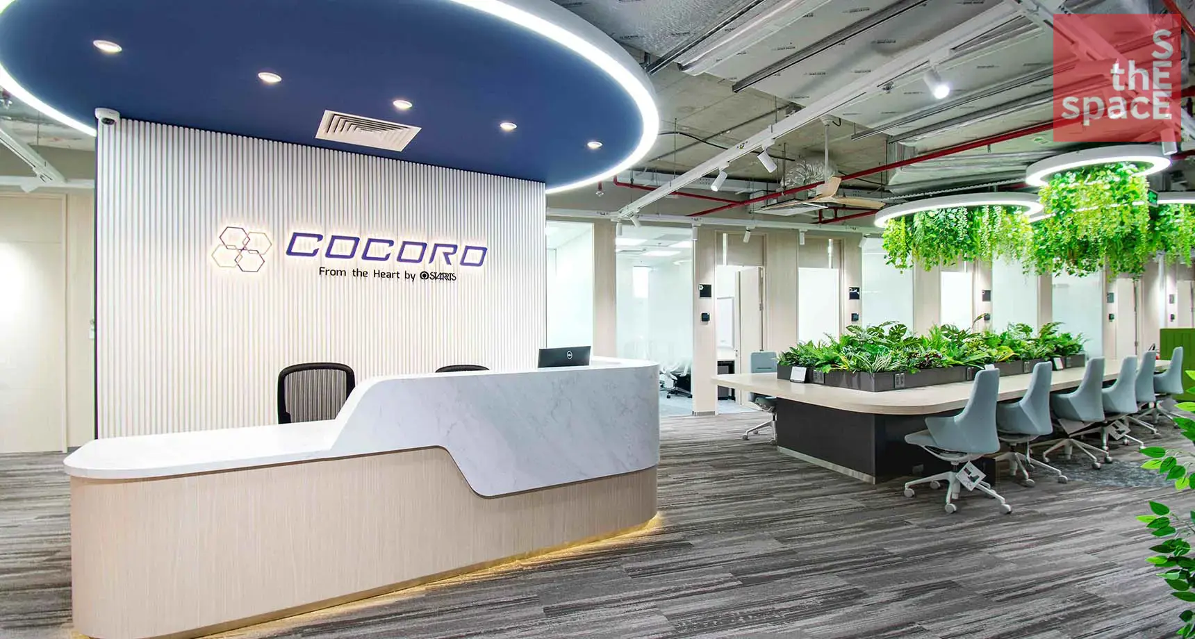 COROCO The Nexus