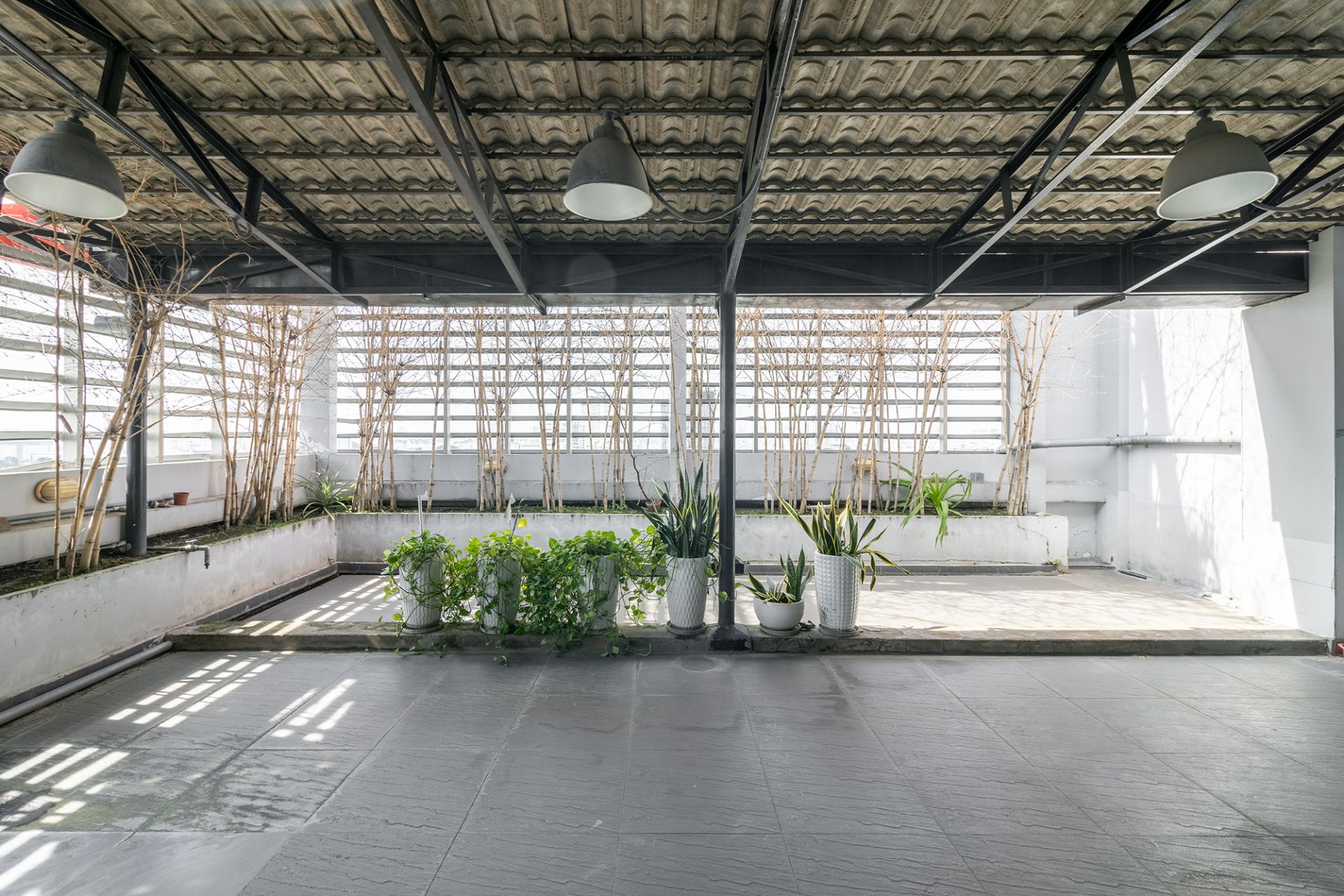 img-4891-hdr-878c825e-38c5-4ae2-955f-d34a13ac4926.JPEG